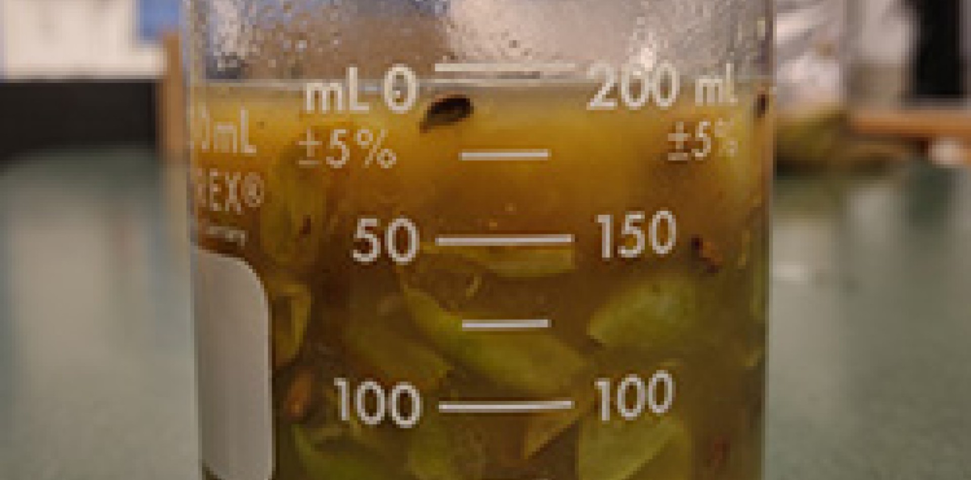 Grape Maturity Monitoring