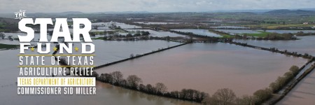 The STAR Fund for Texas Disaster Reovery Efforts